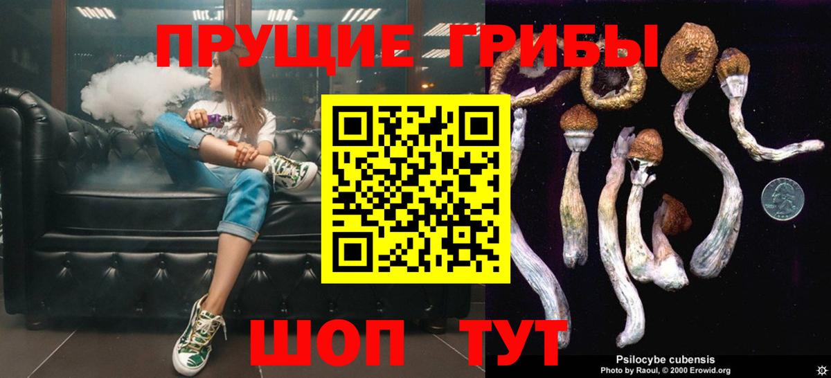 Псилоцибиновые грибы MAGIC MUSHROOMS  Вход с VPN  Железногорск 